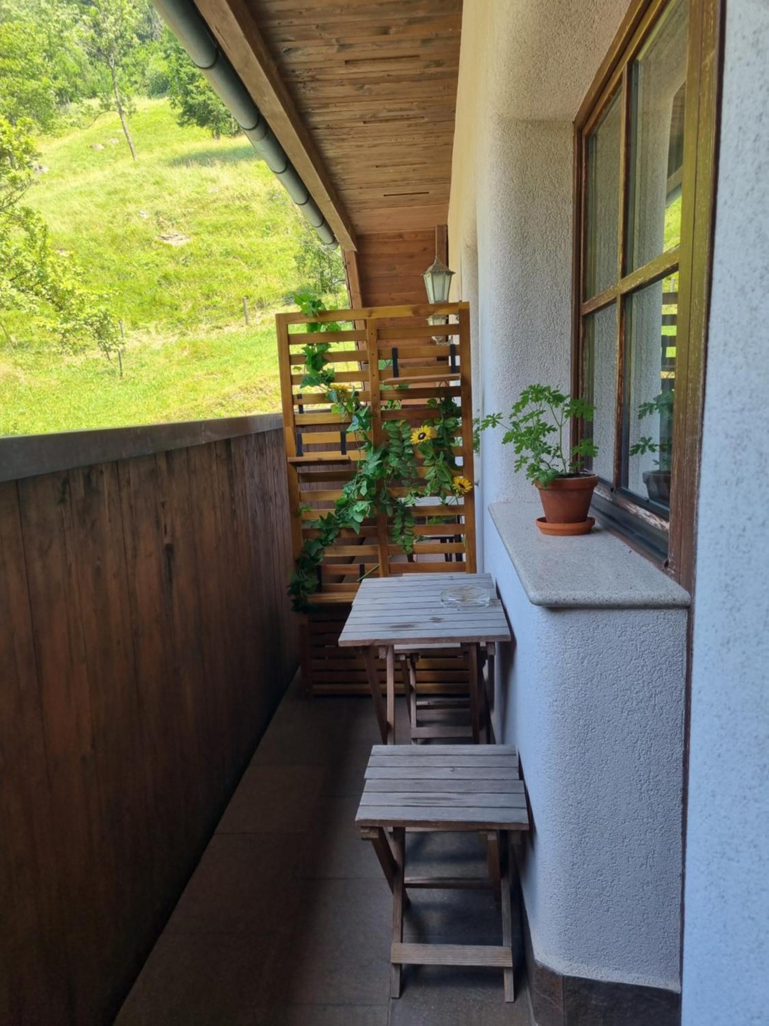 Apartments Pod Macesnovo Streho Solčava Zewnętrze zdjęcie