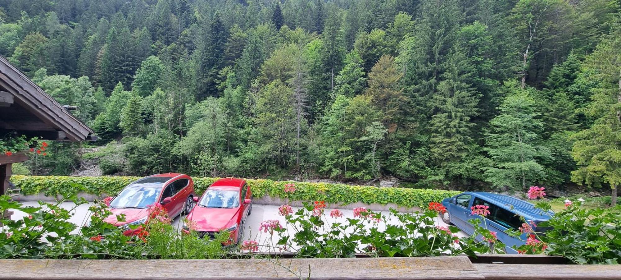 Apartments Pod Macesnovo Streho Solčava Zewnętrze zdjęcie