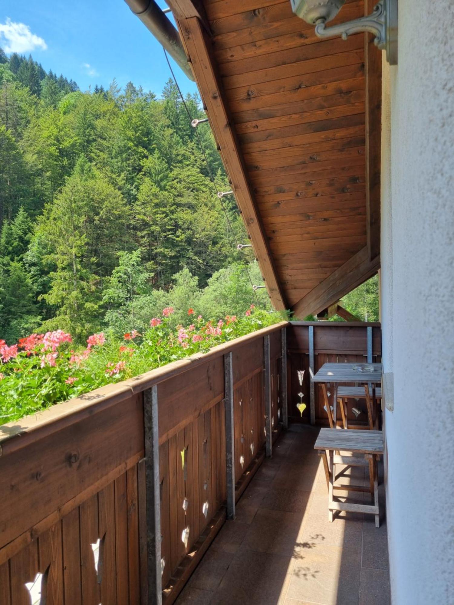 Apartments Pod Macesnovo Streho Solčava Zewnętrze zdjęcie