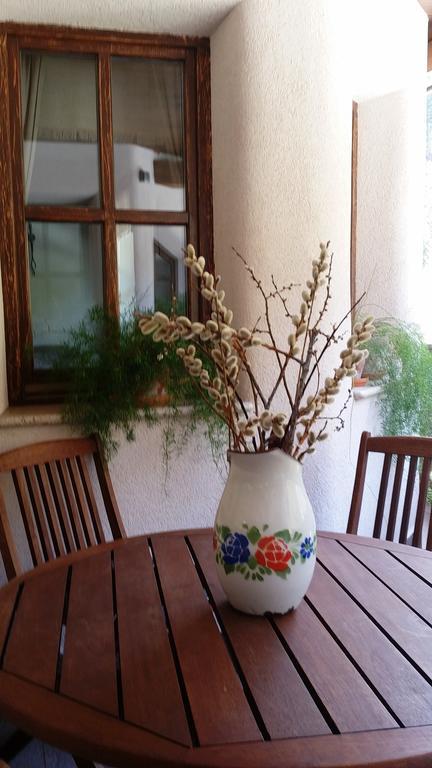 Apartments Pod Macesnovo Streho Solčava Zewnętrze zdjęcie
