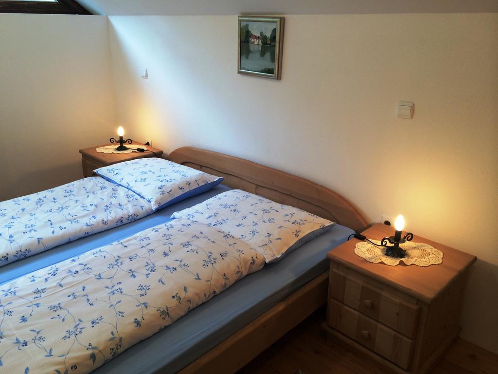 Apartments Pod Macesnovo Streho Solčava Zewnętrze zdjęcie