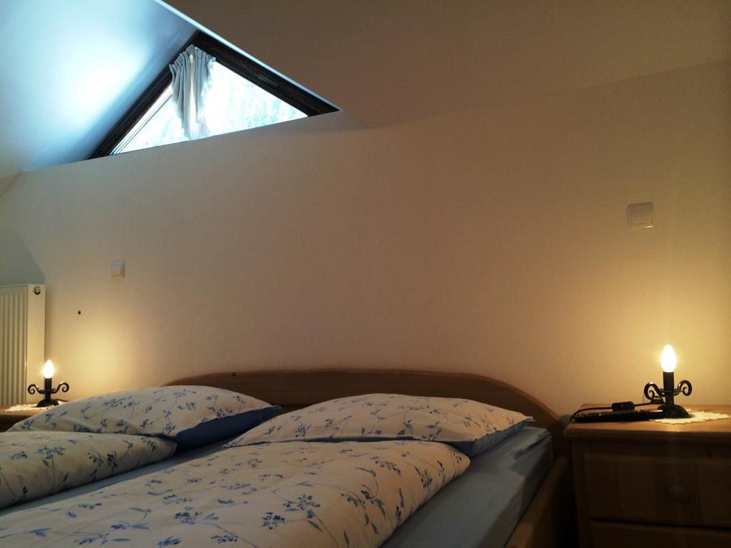 Apartments Pod Macesnovo Streho Solčava Zewnętrze zdjęcie