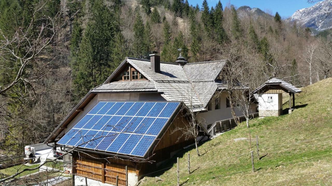 Apartments Pod Macesnovo Streho Solčava Zewnętrze zdjęcie