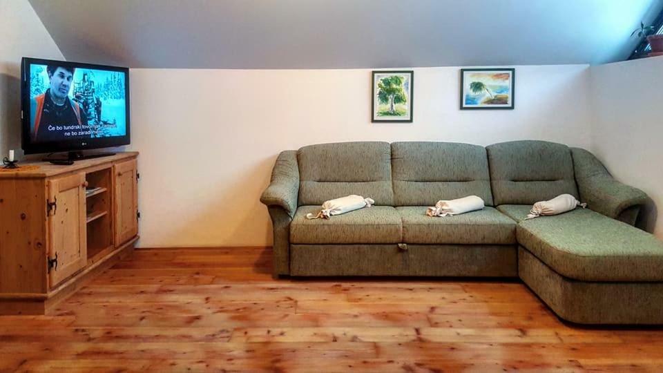 Apartments Pod Macesnovo Streho Solčava Zewnętrze zdjęcie