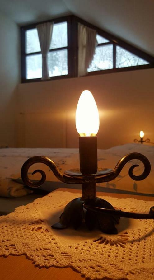 Apartments Pod Macesnovo Streho Solčava Zewnętrze zdjęcie