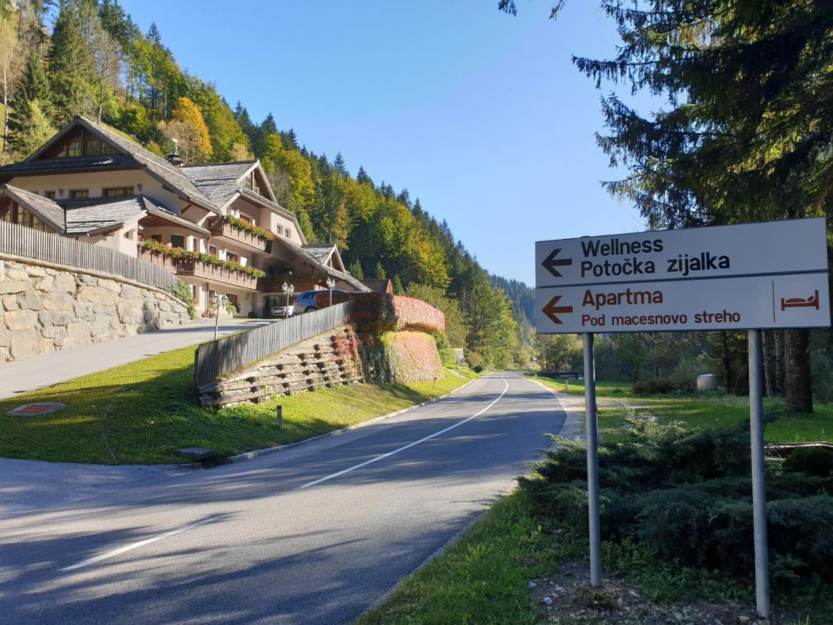 Apartments Pod Macesnovo Streho Solčava Zewnętrze zdjęcie