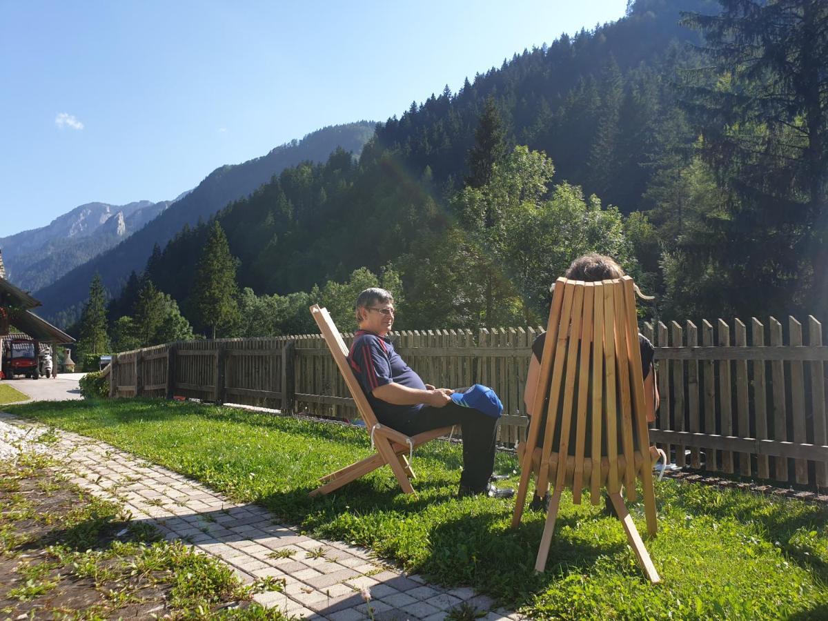 Apartments Pod Macesnovo Streho Solčava Zewnętrze zdjęcie